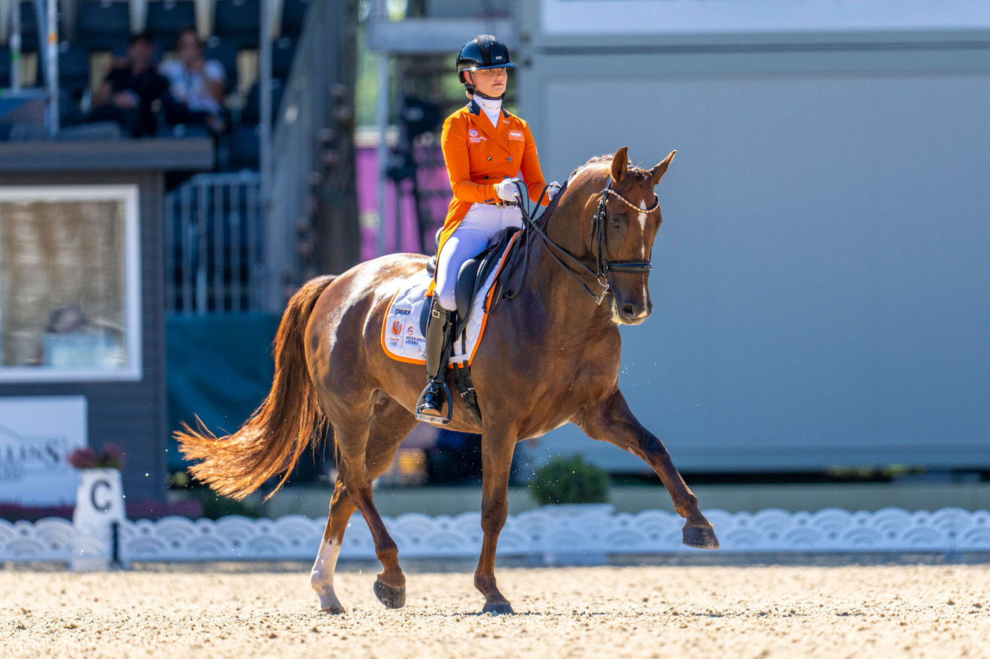 Devenda Dijkstra rijdt een proef met Hero op het NK Dressuur in Ermelo