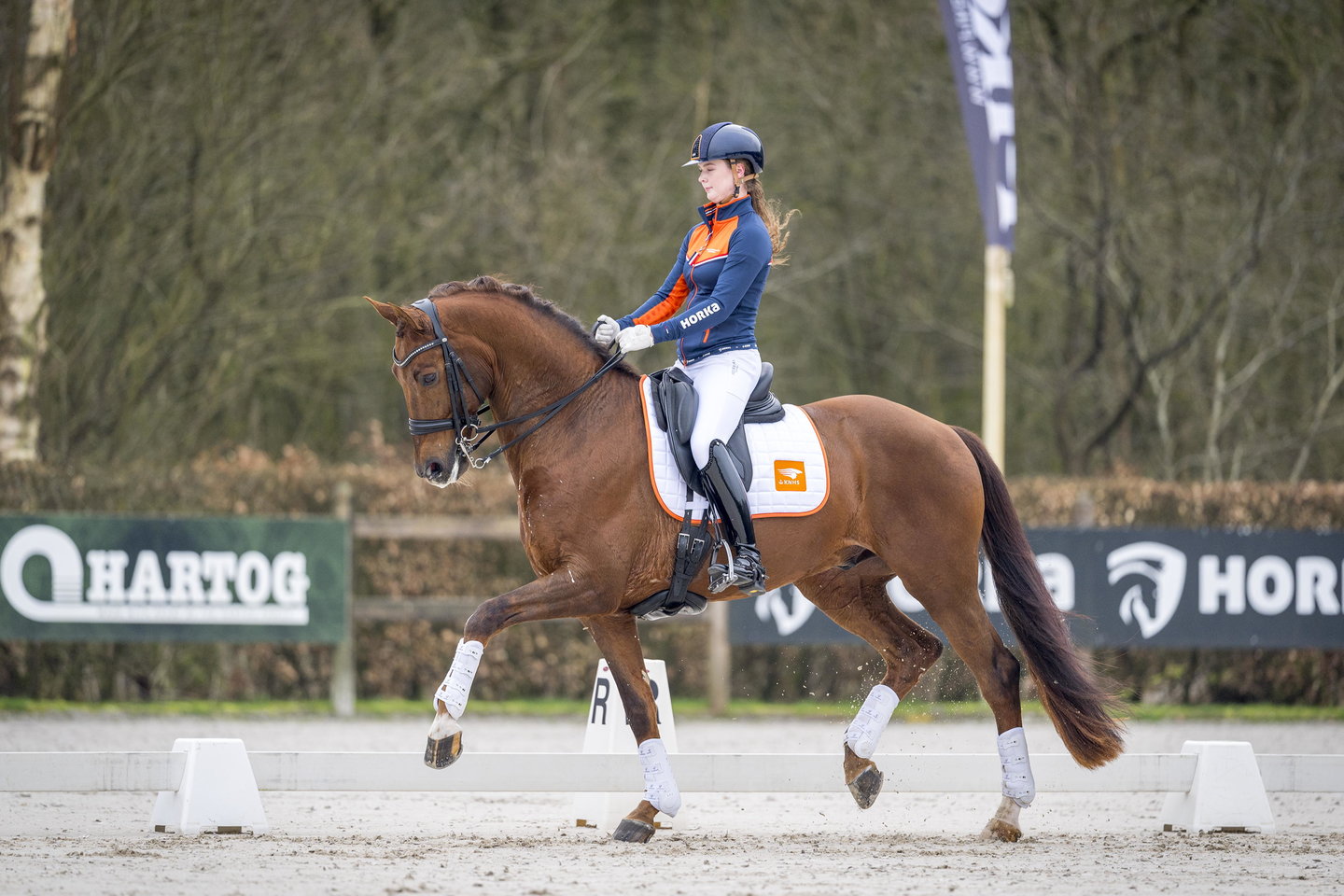 robin heiden in actie met haar paard hollywood