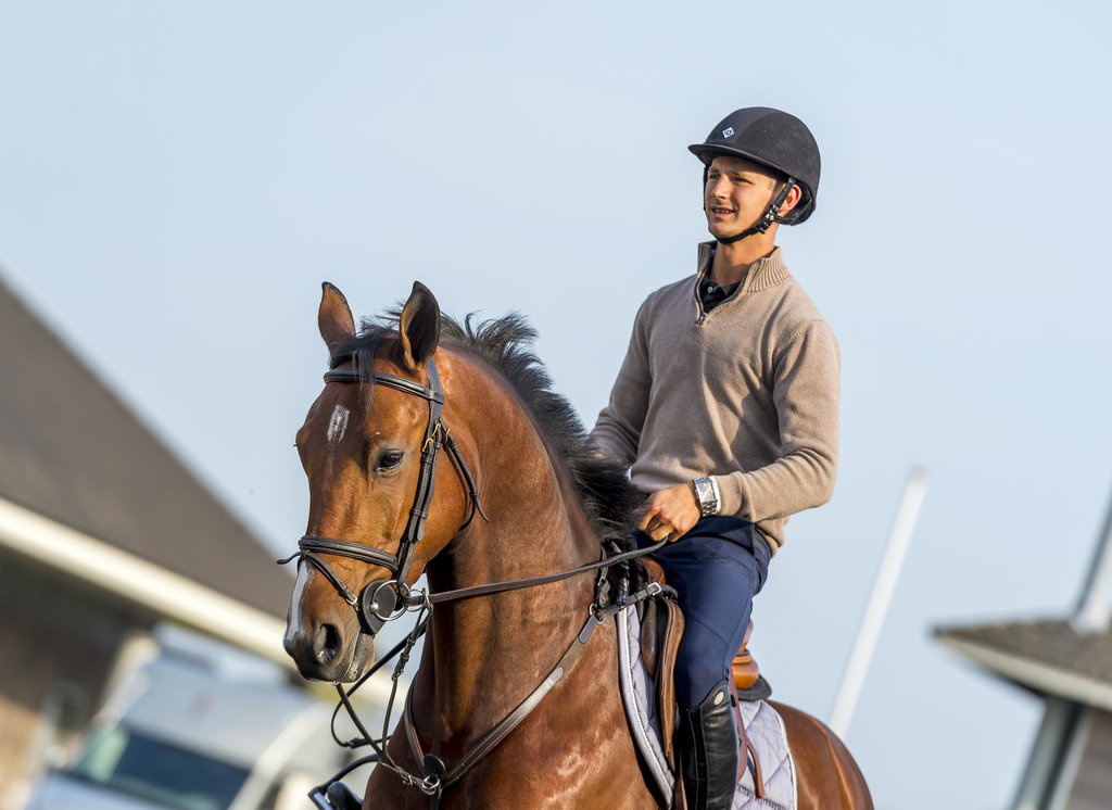 Springpaard in galop