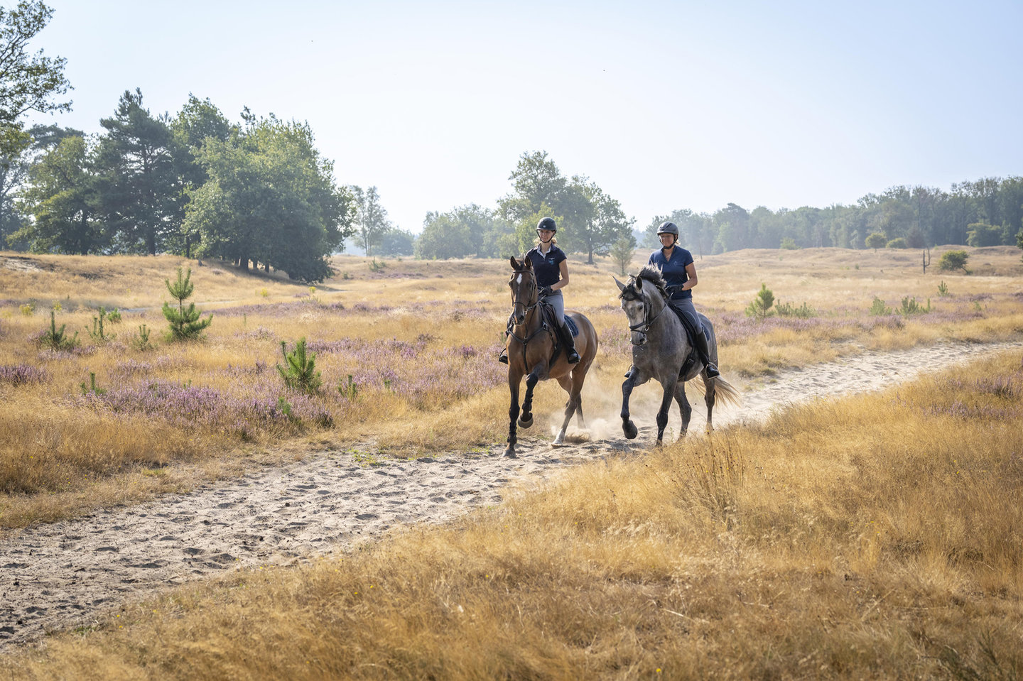 Twee ruiters maken een buitenrit in de natuur 