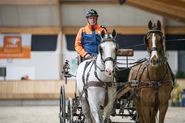 Een tweespan paarden rijdt op het Nationaal Hippisch Centrum in Ermelo