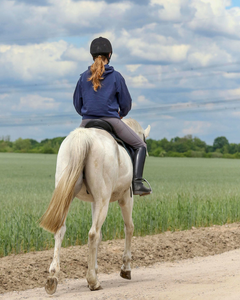 Een oud paard uitstappen langs de weg 
