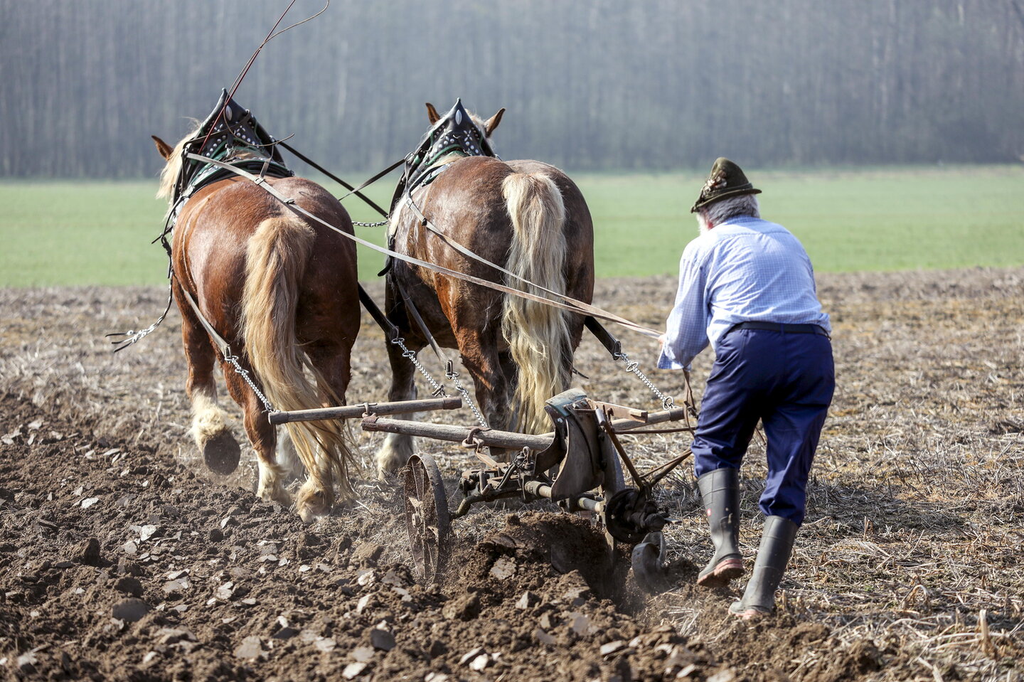 een boer is aan het ploegen met zijn paarden