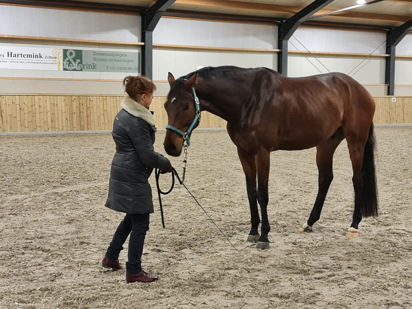 doreen proos traint een gespannen paard vanaf de grond