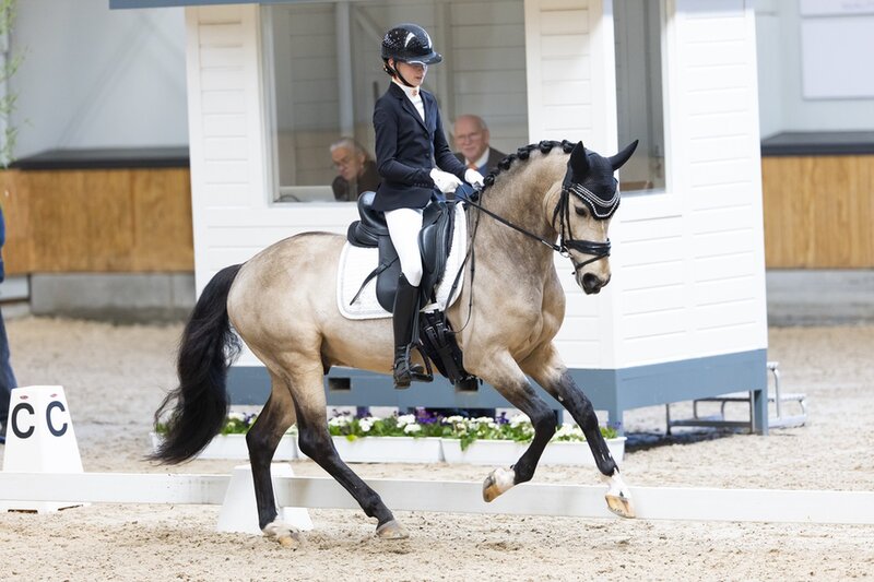 harrie smolders en monaco als winnaars van de rolex grote prijs van genève