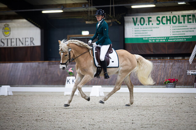 paulien bastiaanse en haflinger nymo