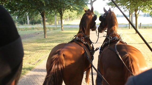 nathalie vink zit naast elise en doet met haar en spel met een grote kaart en een speelgoedpaard