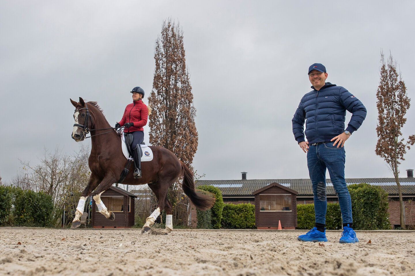 Springpaard in galop