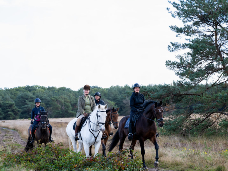 harrie smolders en monaco als winnaars van de rolex grote prijs van genève