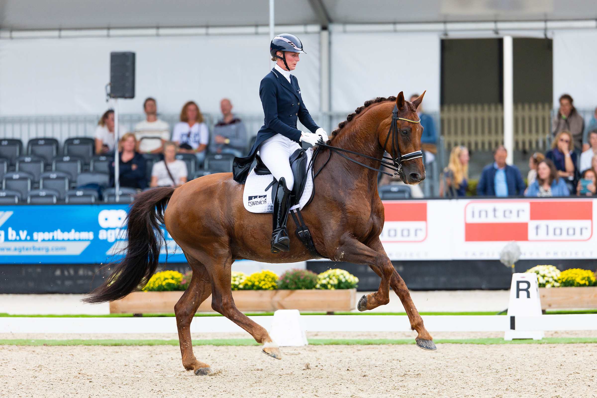 maikel van der vleuten springt met beauville z n.o.p. over een hindernis tijdens de olympische spelen