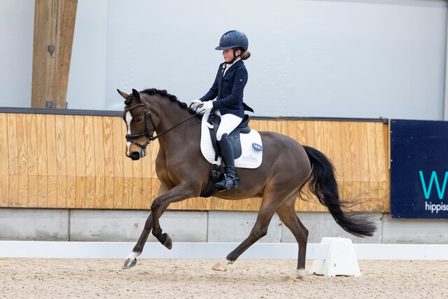 dinja van liere juicht terwijl ze op hermes zit, na het winnen van de nederlandse titel