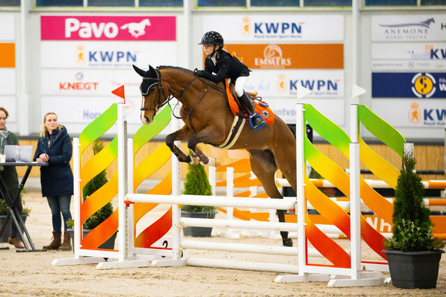 een amazone maakt met haar paard kennis met de cross