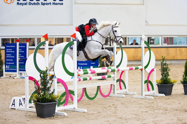 een amazone maakt met haar paard kennis met de cross