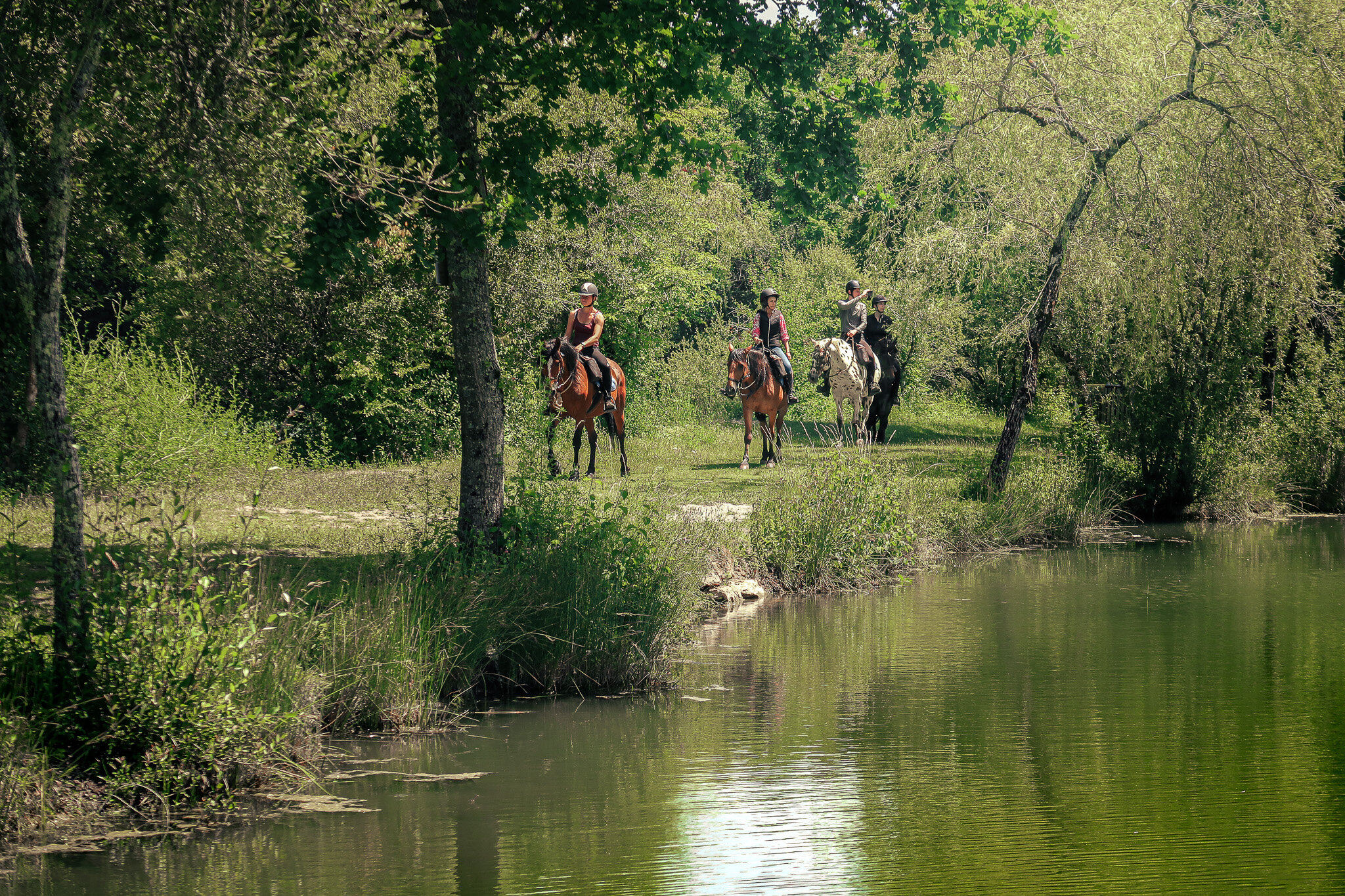 Samantha loopt naast haar veulentje