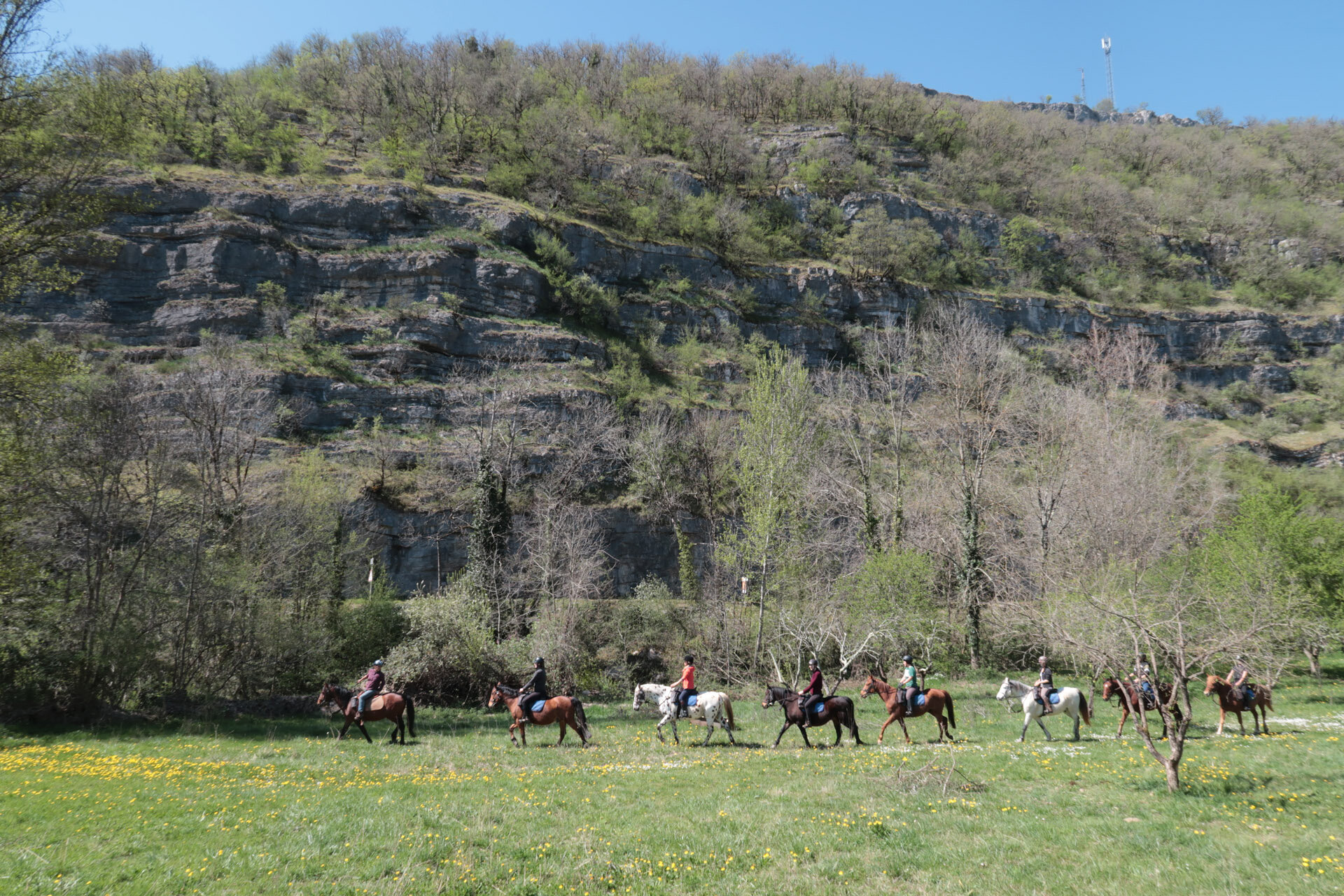 Samantha loopt naast haar veulentje