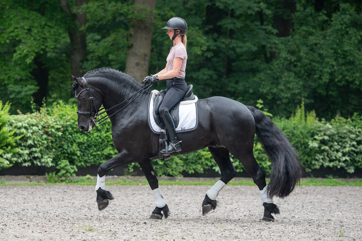 draffoto van isabelle  vroomans en hummer