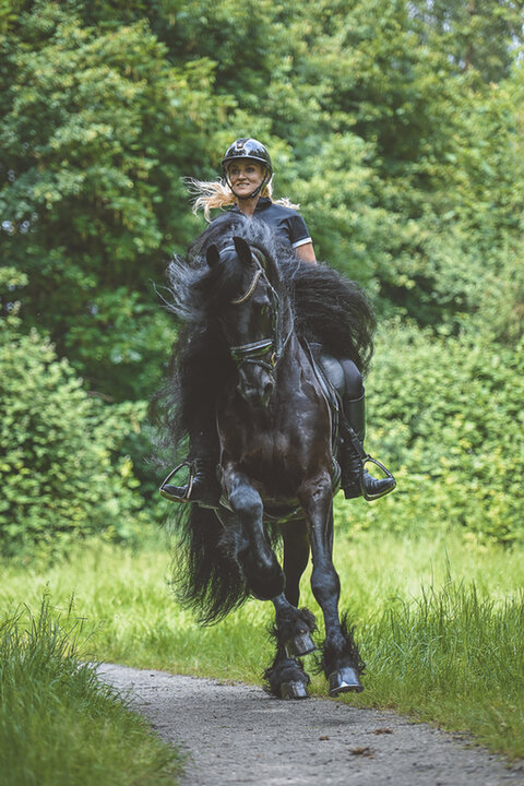 Samantha galoppeert op haar Friese paard over een bospad