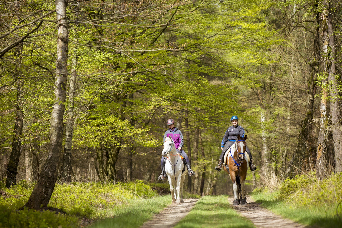 djilan met haar schimmel en renata met haar bonte paard stappen naast elkaar over het brede ruiter- en menpad