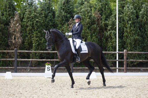 robin heiden met de nog jonge hengst one million in actie