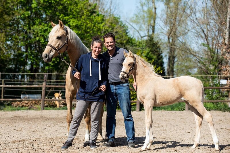 aldo doveren (rechts) op de foto met partner christie dreessen, samen met een merrie en veulen