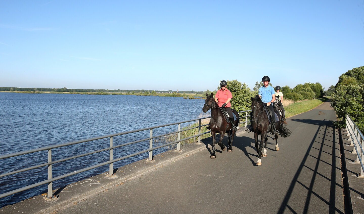 djilan met haar schimmel en renata met haar bonte paard stappen naast elkaar over het brede ruiter- en menpad