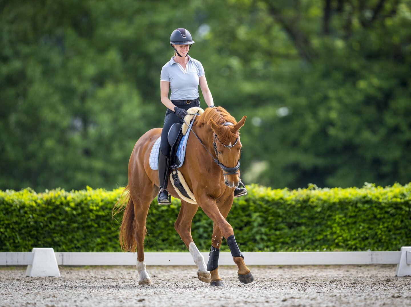 diede heuvelman draaft met haar pony vivaldo