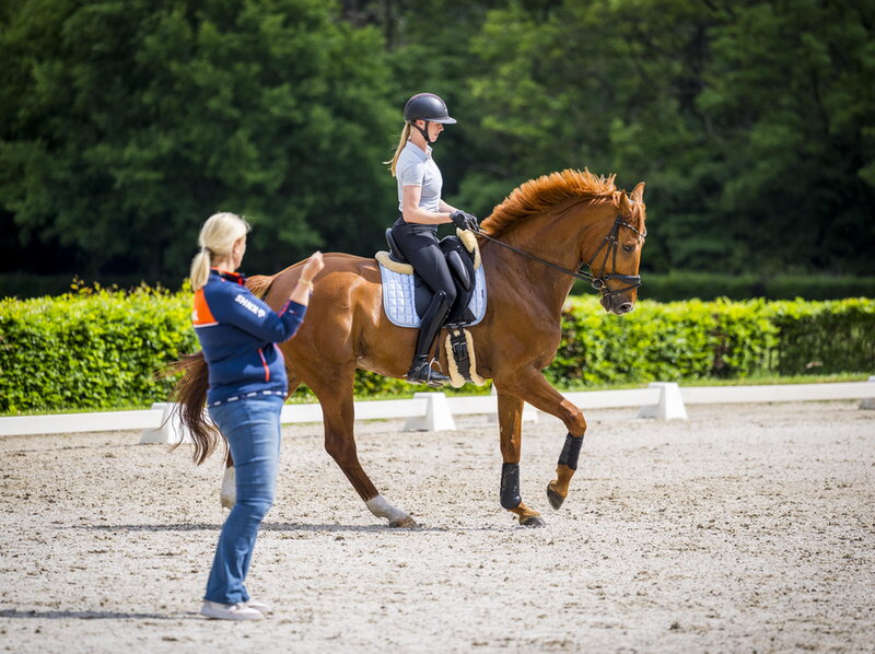 ponyamazone diede rijdt haar vivaldo in galop