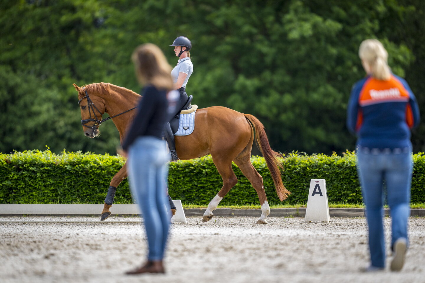 loes corsel geeft diede aanwijzingen