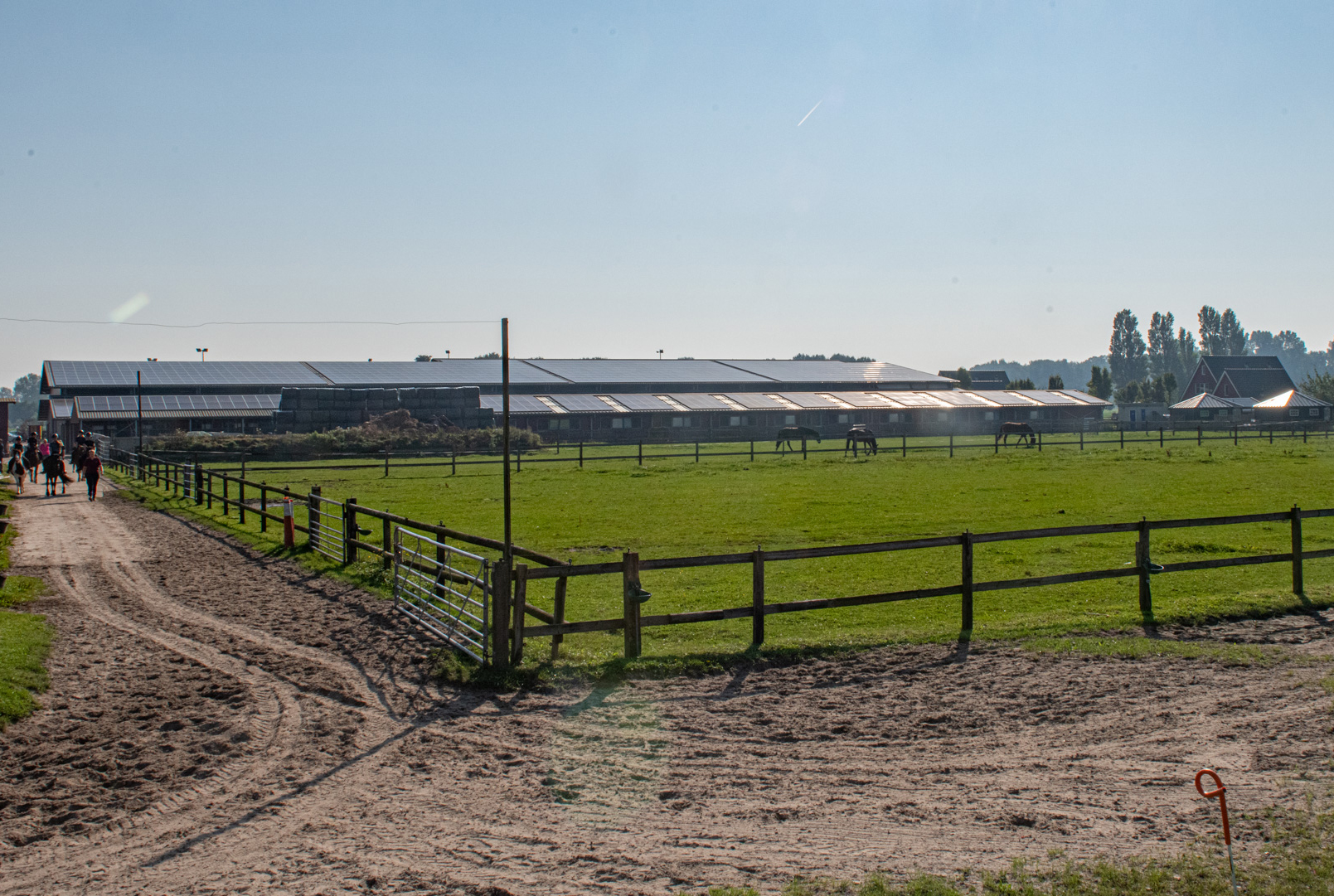 drie paarden in container, klaar voor reis met vliegtuig