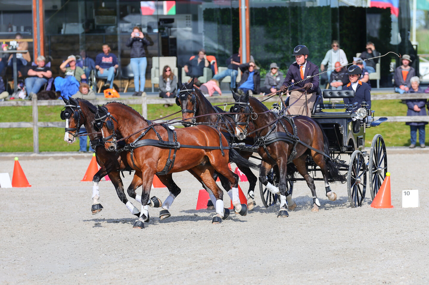 manegehouder sandra melten loopt naast een aantal ruiters met hun paard