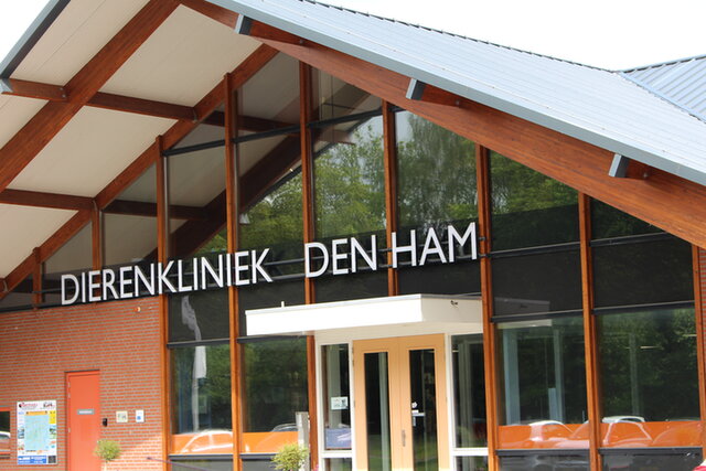 nathalie vink zit naast elise en doet met haar en spel met een grote kaart en een speelgoedpaard