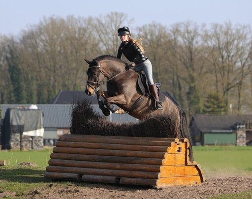 anky geeft tips tijdens knhs talentendag op het nhc in ermelo