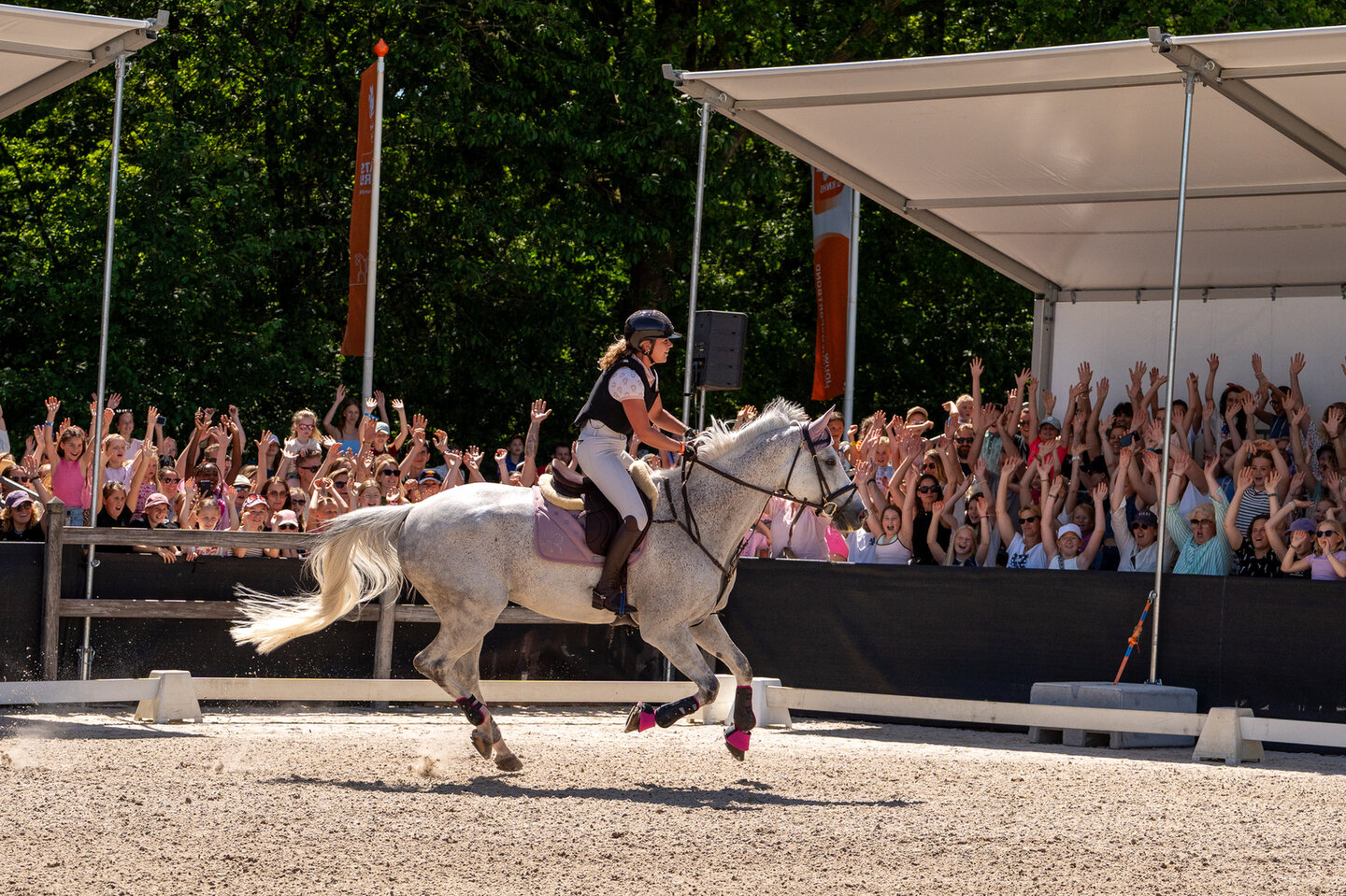 het vuistje omhoog bij maikel van der vleuten na een foutloze ronde van hem en beauville in de finale