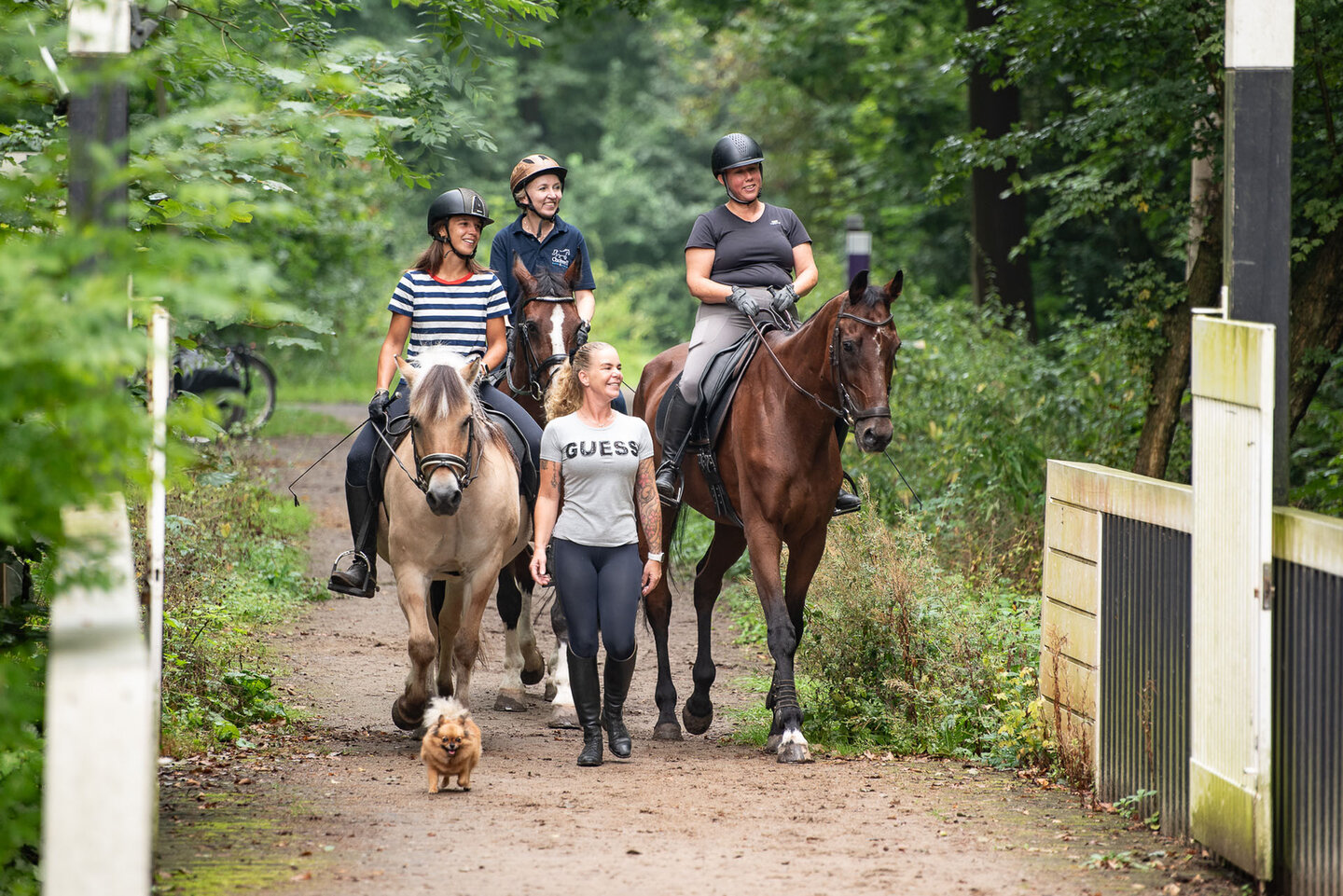 manegehouder sandra melten loopt naast een aantal ruiters met hun paard