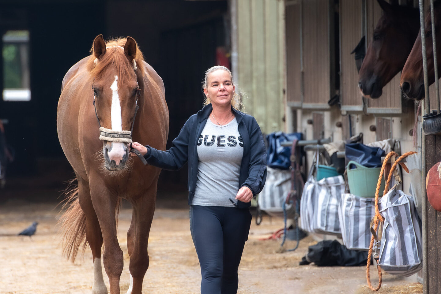 sandra melten loopt met een paard aan de hand