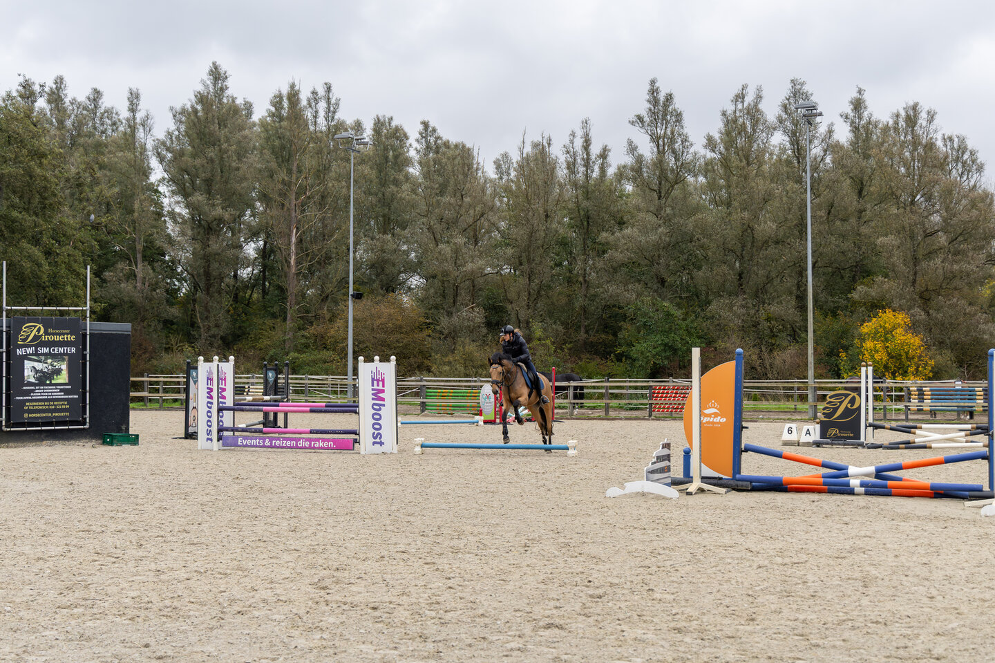 martine borremans aait een pony van de west stichtse ruiters 