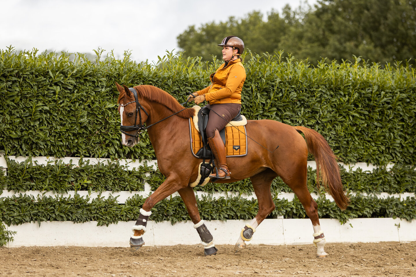 manegehouder yorick staat in het midden van de bak tijdens het lesgeven