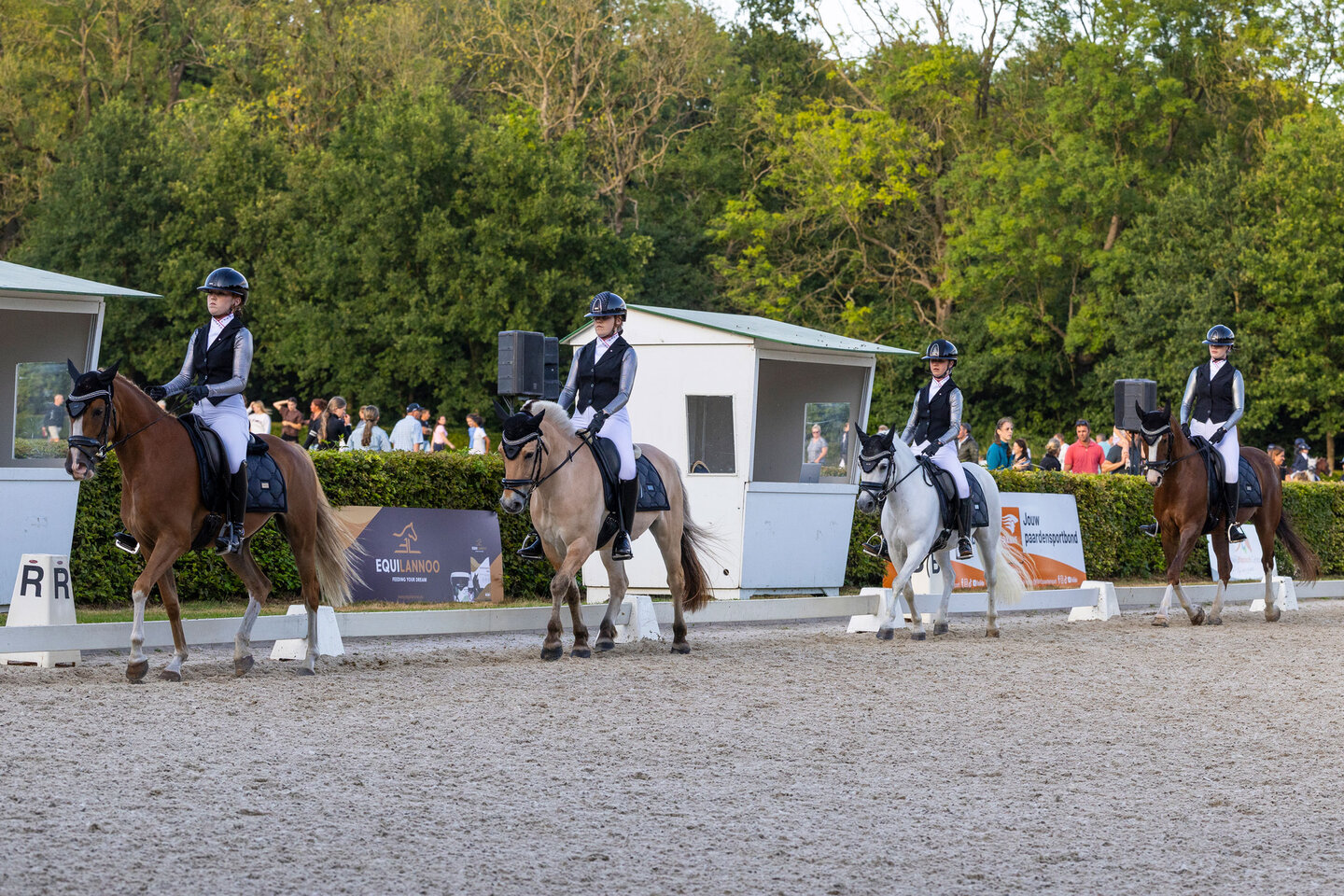een jury kijkt vanuit de auto bij de letter c naar een dressuurcombinatie in de ring