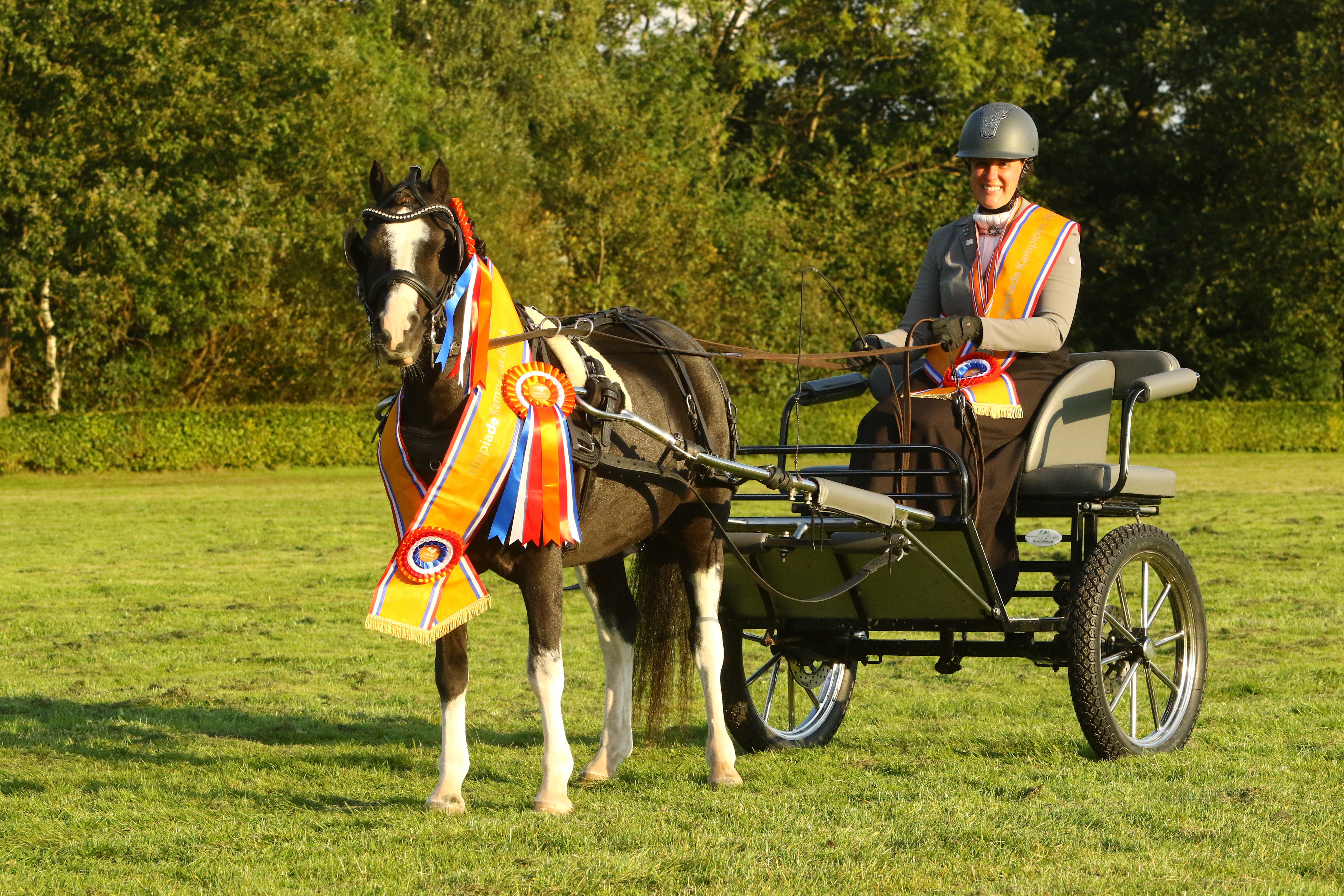 marit van ommen springt met haar paard Harmony De L' Abbaye