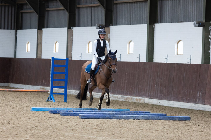 bram chardon vertelt over de wijze waarop hij het borsttuig aanbrengt bij zijn paard