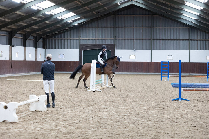 bram chardon vertelt over de wijze waarop hij het borsttuig aanbrengt bij zijn paard