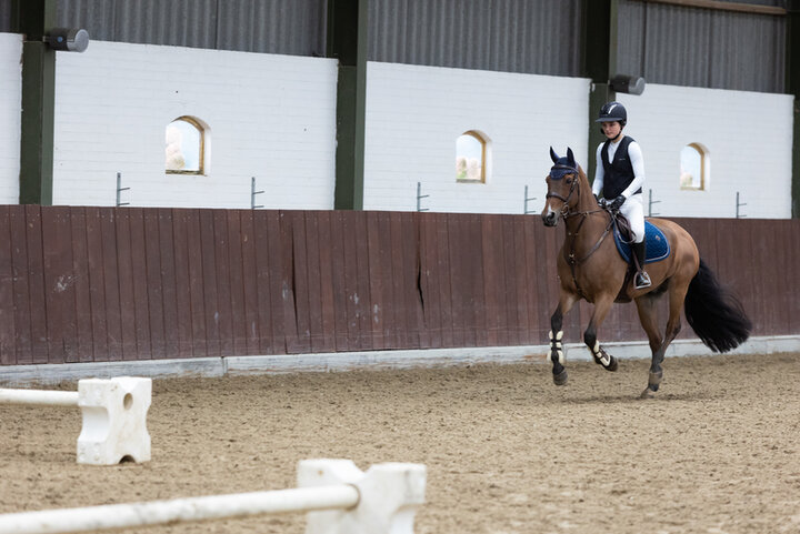 bram chardon vertelt over de wijze waarop hij het borsttuig aanbrengt bij zijn paard