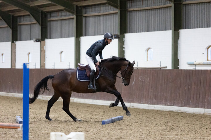 bram chardon vertelt over de wijze waarop hij het borsttuig aanbrengt bij zijn paard