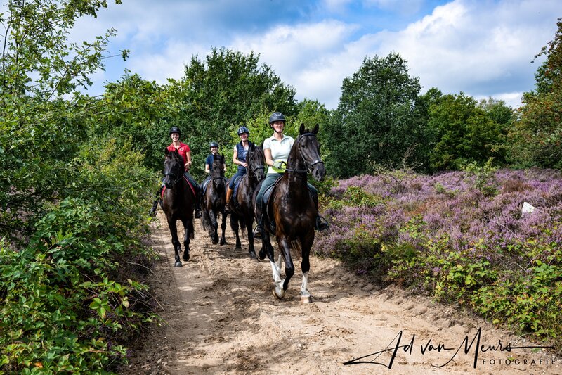 renata beloont haar paard mano