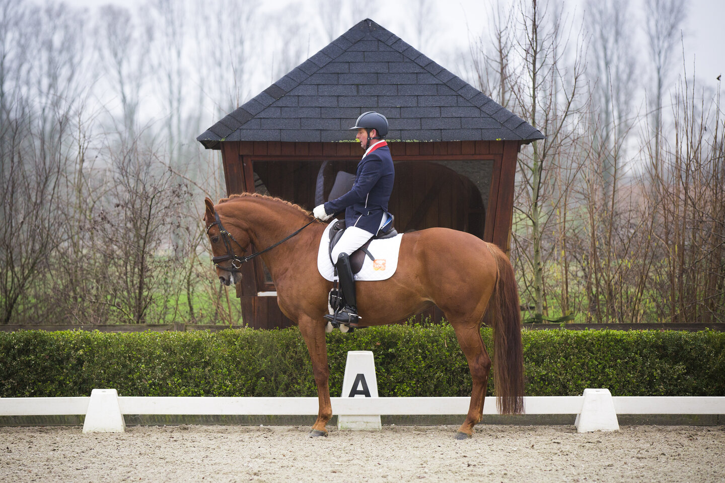 de schimmelruin wordt ingepannen voor de wagen door bram en tanja
