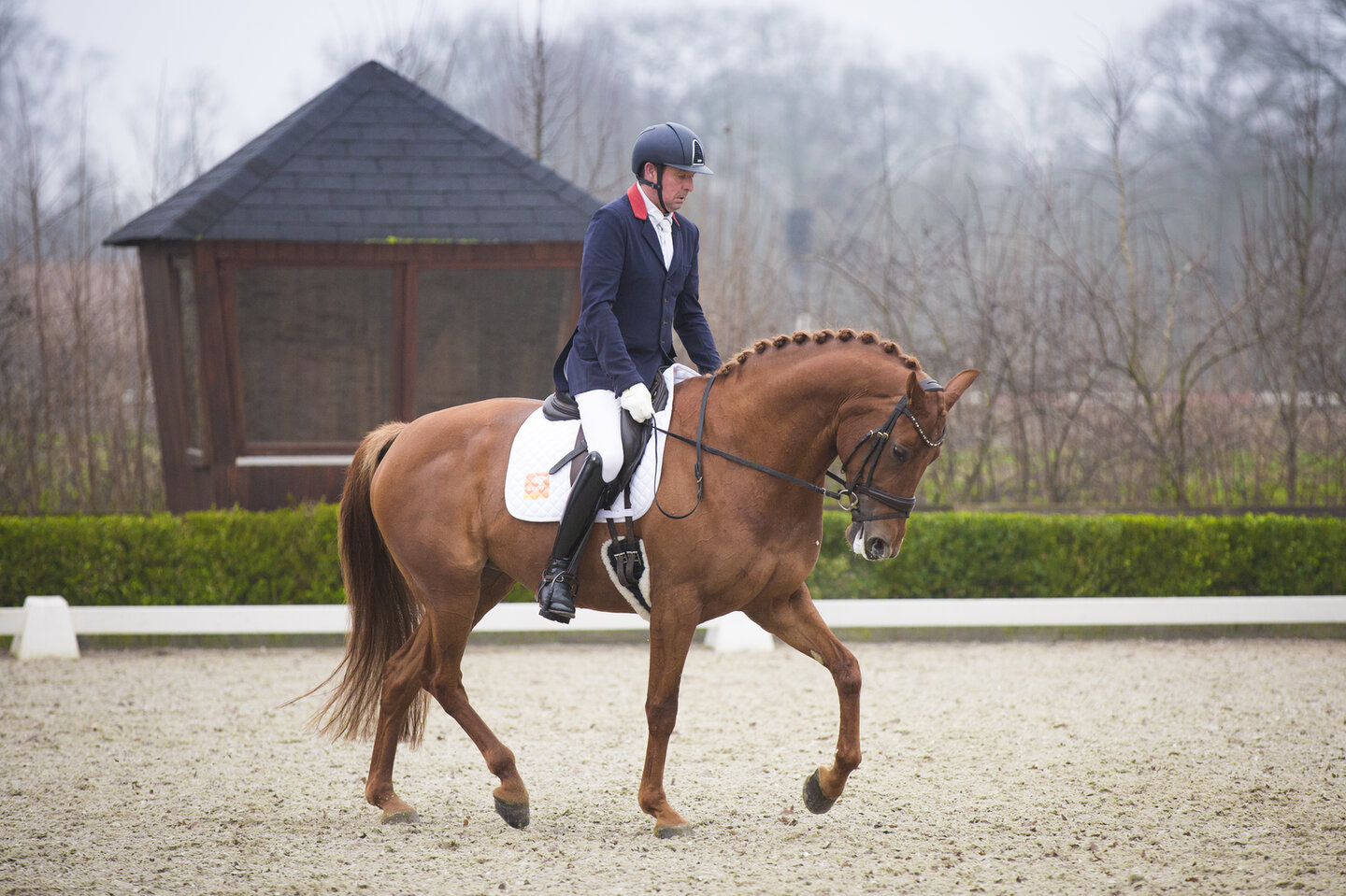 ook legt hij uit hoe het zit met de teugelvoering op de menwagen