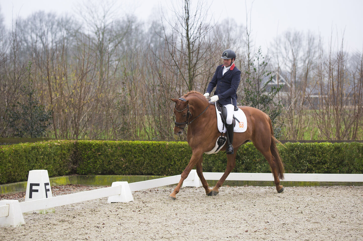 de schimmelruin wordt ingepannen voor de wagen door bram en tanja