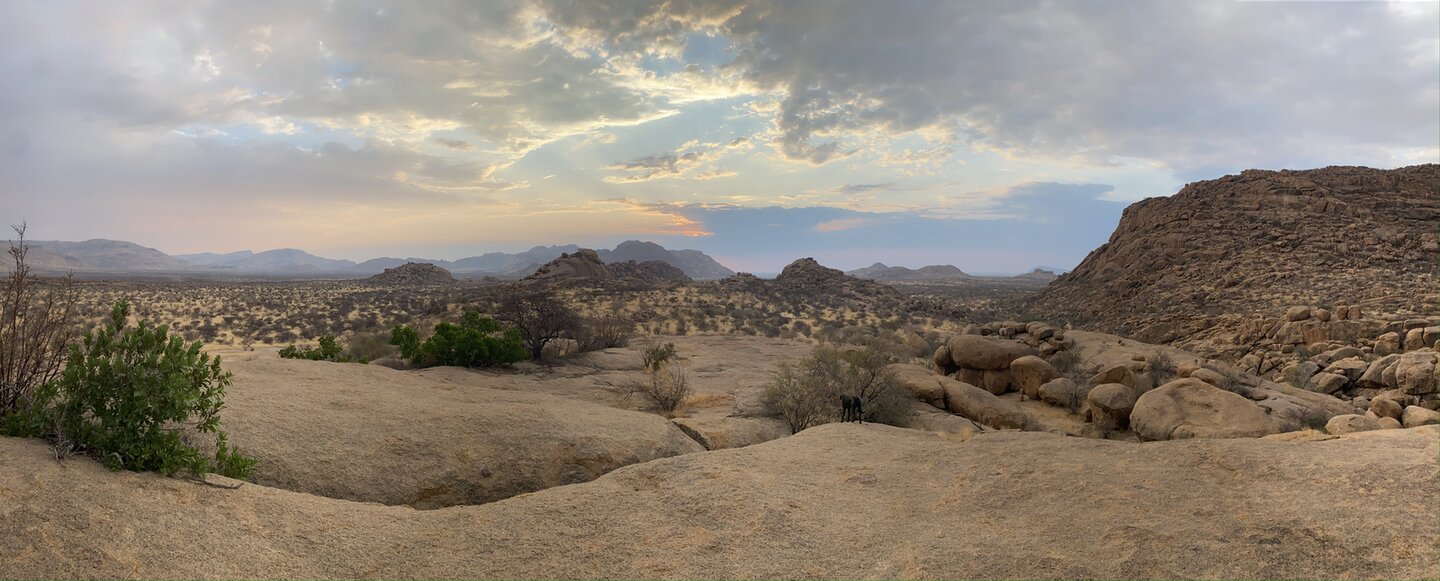 Samantha knuffelt met haar paard Voice in de wei