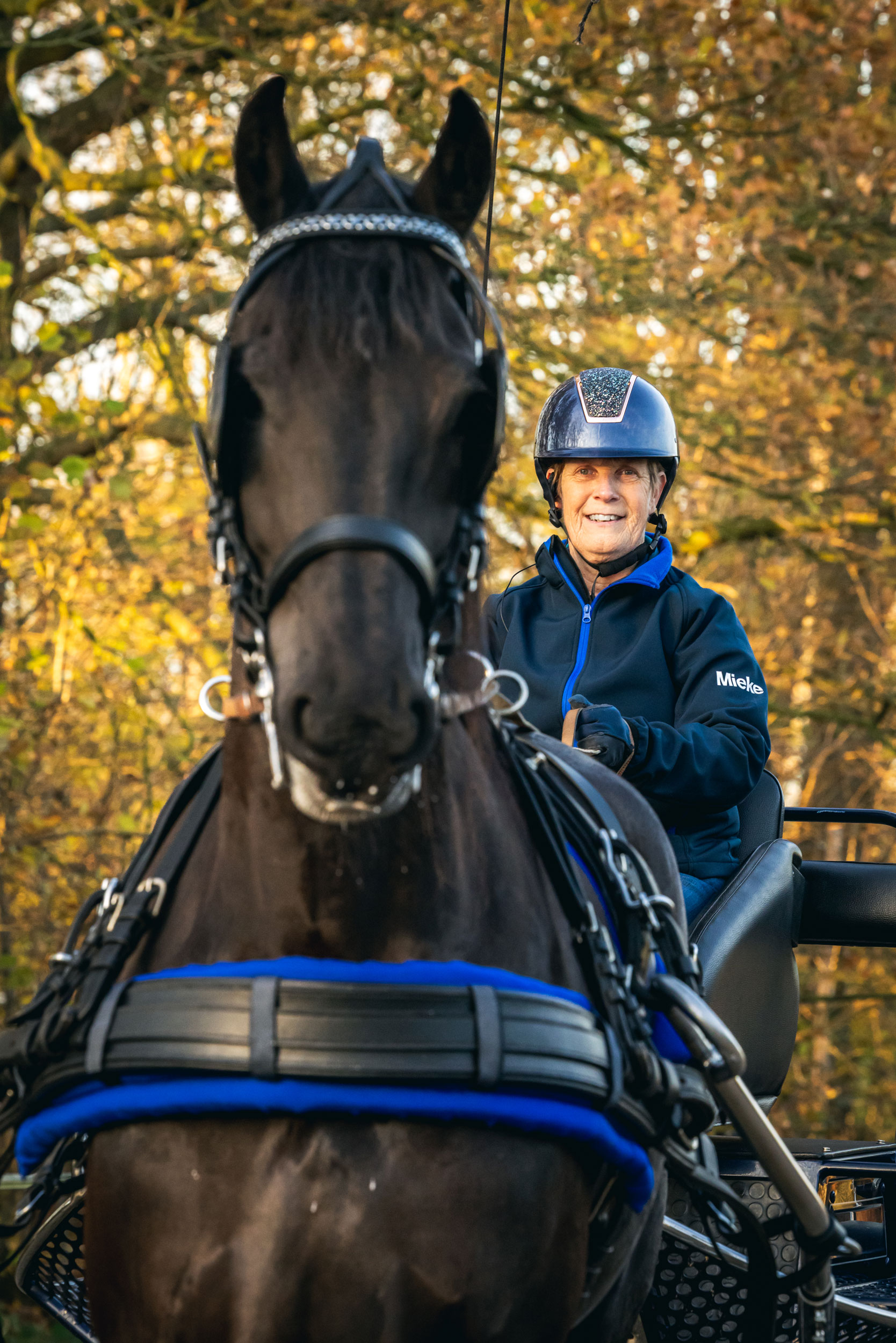 logo van manege de groote wielen in rosmalen op een polo
